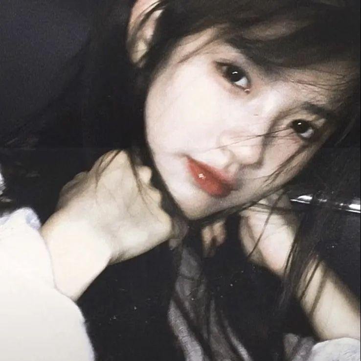 案中案
